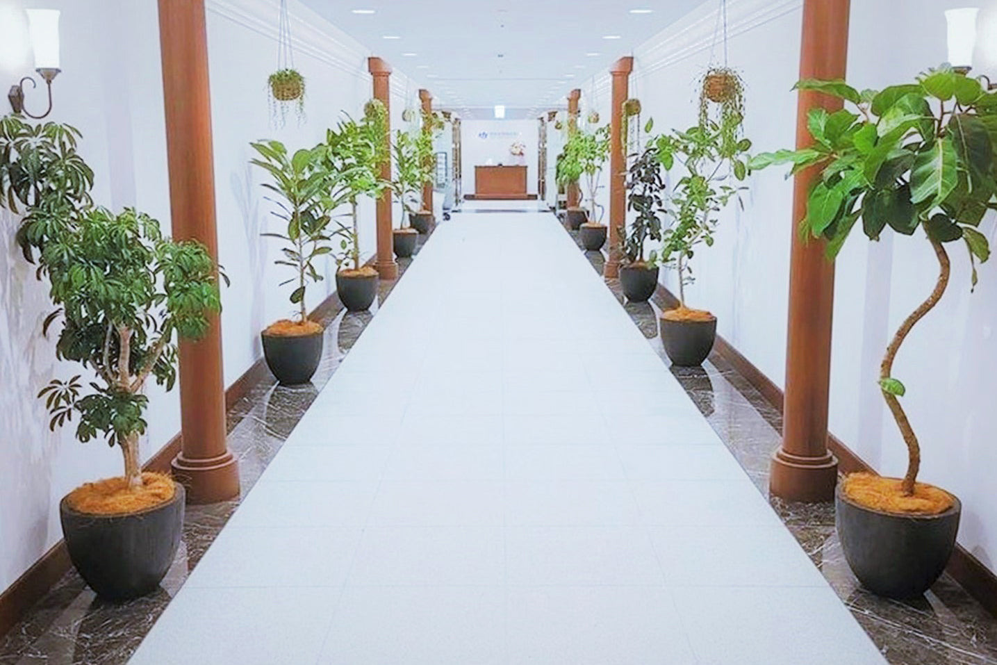 丸の内ビル オフィス廊下