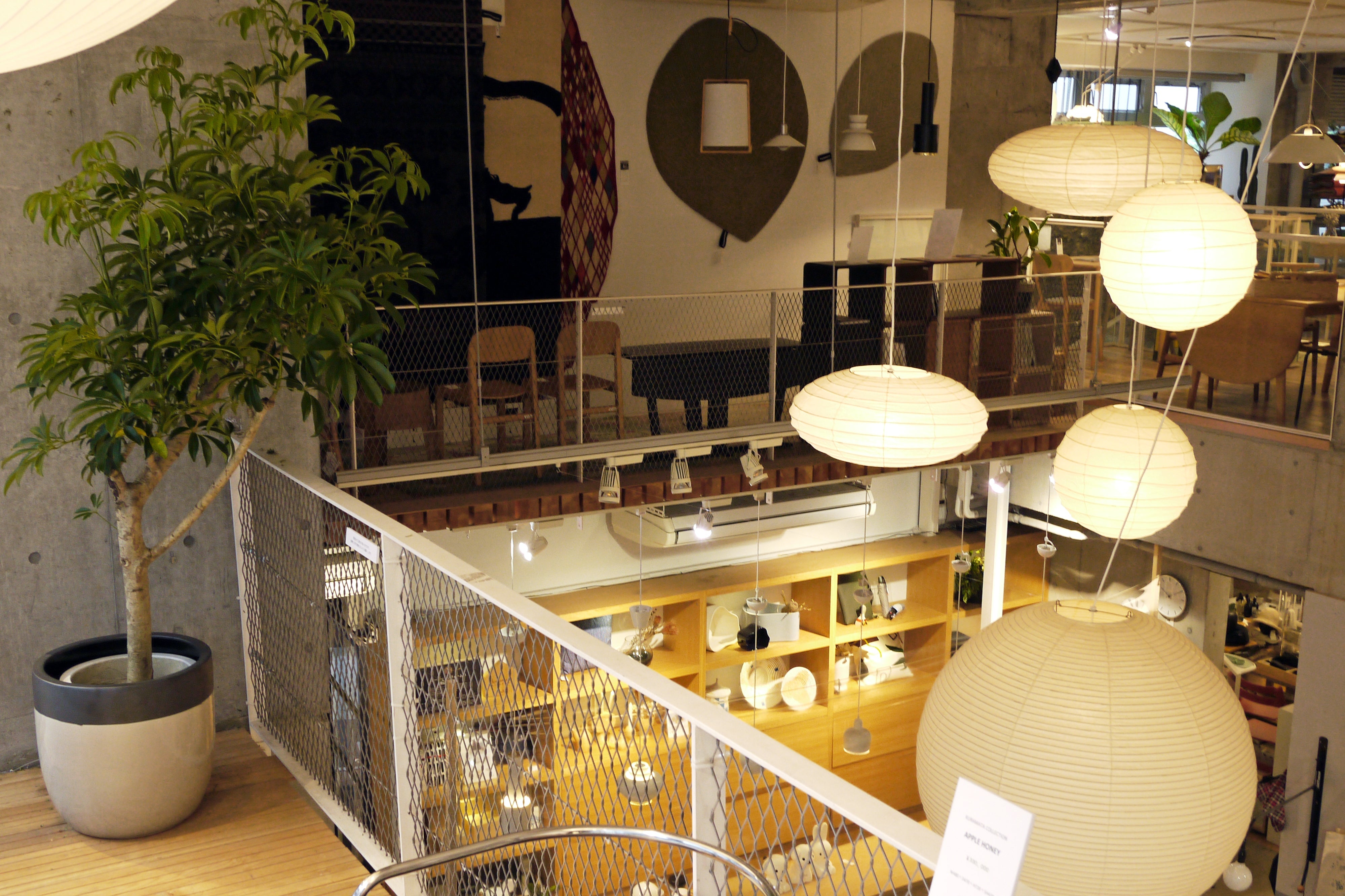 店舗 室内緑化