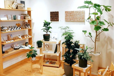 店舗 室内緑化