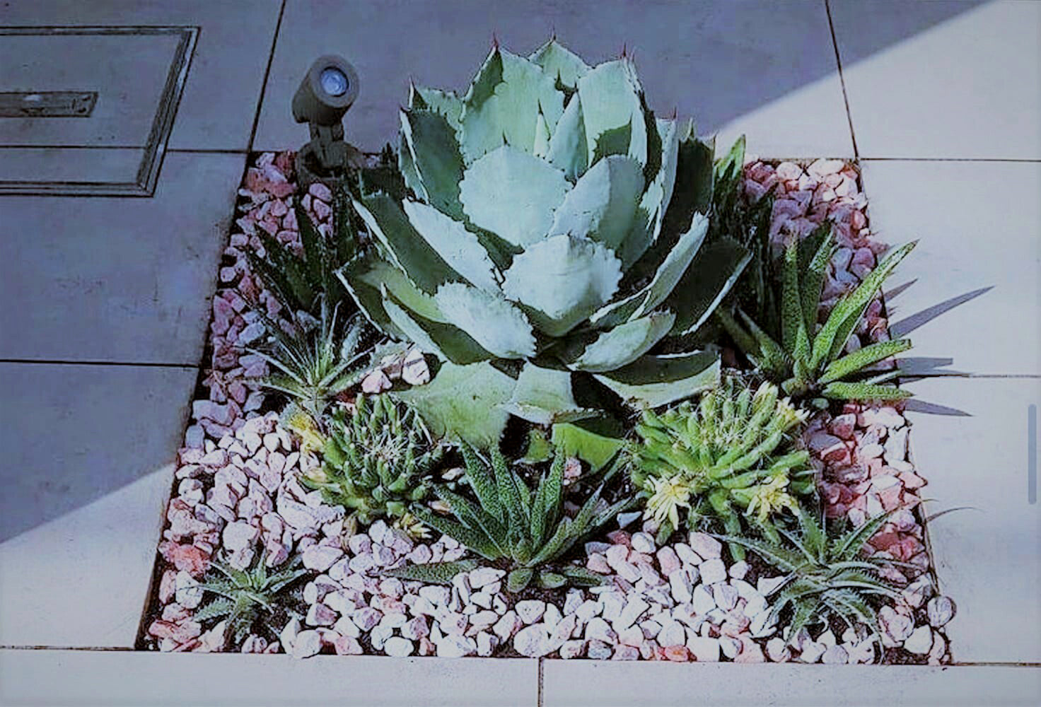 五反田個人宅テラス