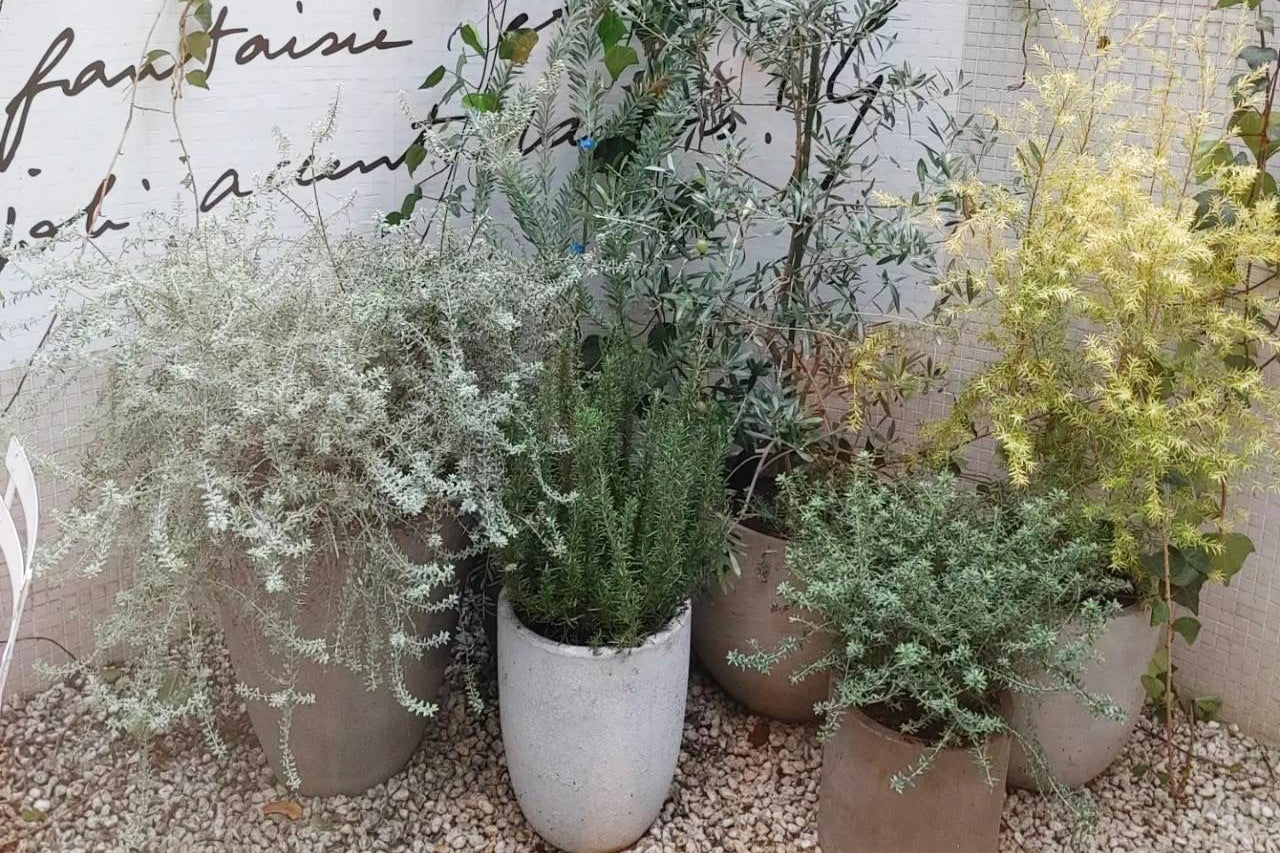 表参道アニエスベー