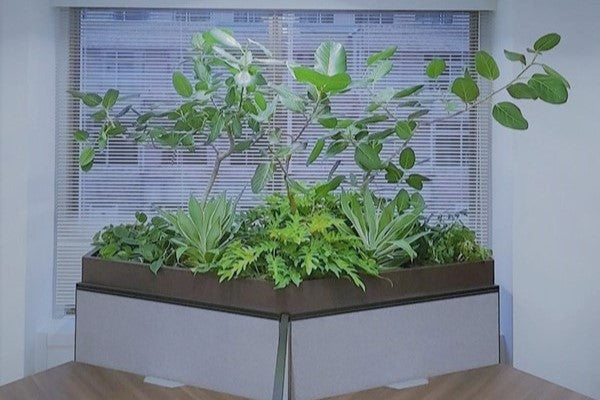 霞が関ビル オフィス