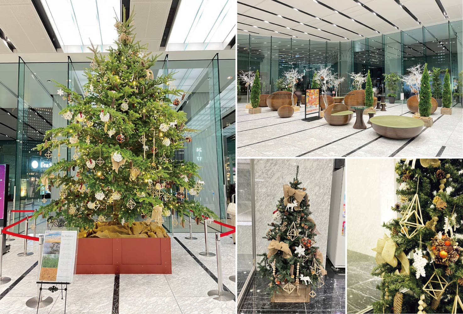 オフィス　クリスマス装飾